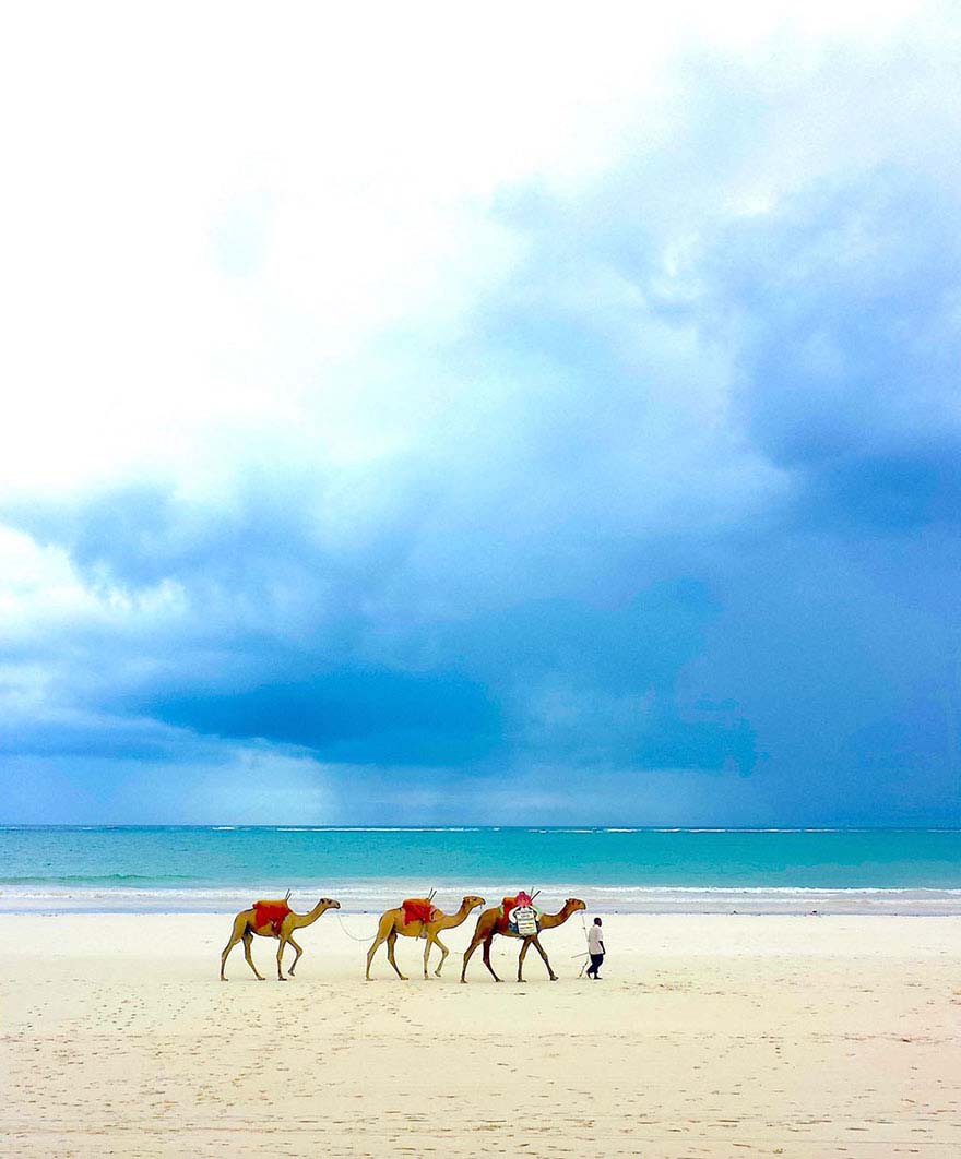 14 Niños que sorprendieron al mundo y ganaron el concurso de fotografía de National Geographic Kids