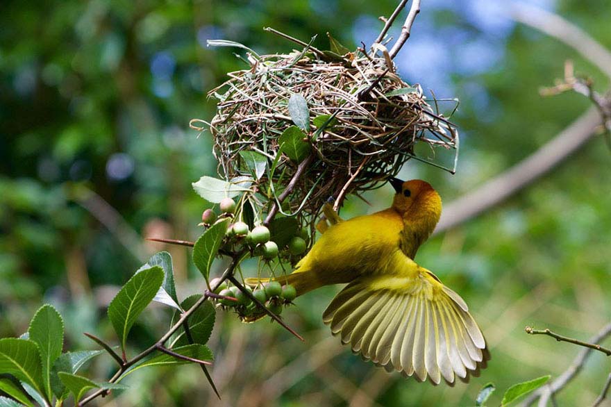 14 Niños que sorprendieron al mundo y ganaron el concurso de fotografía de National Geographic Kids