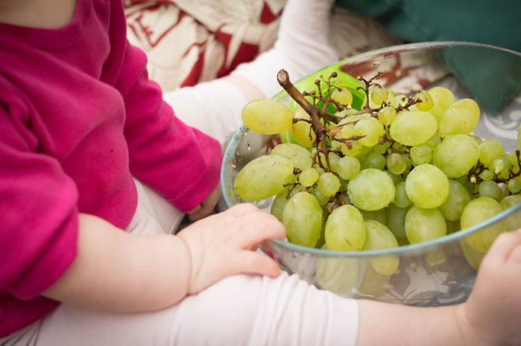 Esta aterradora radiografía revela por qué los niños nunca deben comer uvas sin supervisión