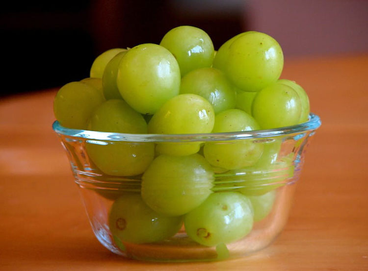 Esta aterradora radiografía revela por qué los niños nunca deben comer uvas sin supervisión
