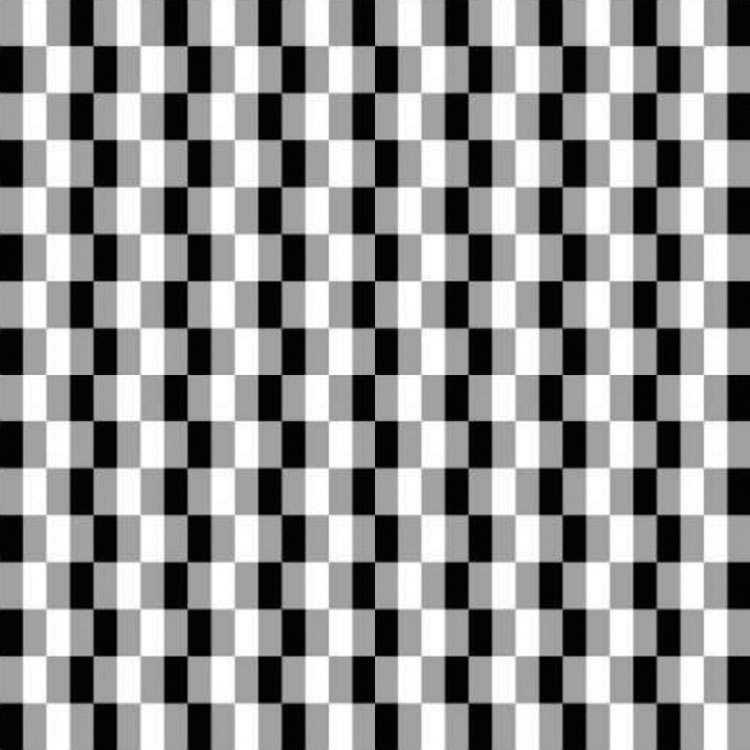 16 ilusiones ópticas alucinantes que engañarán a tu cerebro