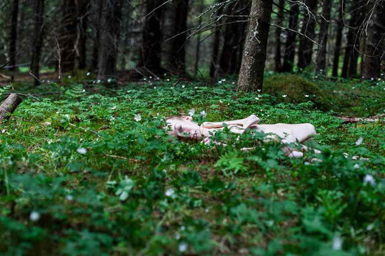 Este político noruego inspira al mundo con sus fotos desnudo en el bosque