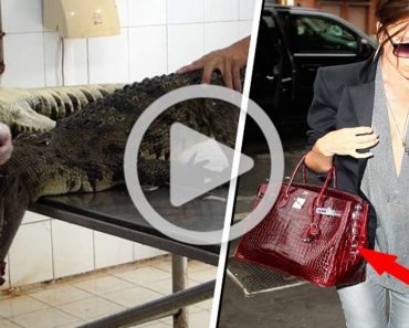 Video clandestino expone el horrible orígen de algunos bolsos y zapatos de lujo