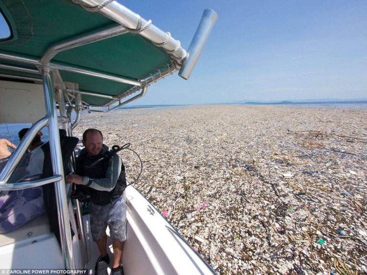 Imágenes increíbles muestran lo que se esconde en medio de nuestros océanos