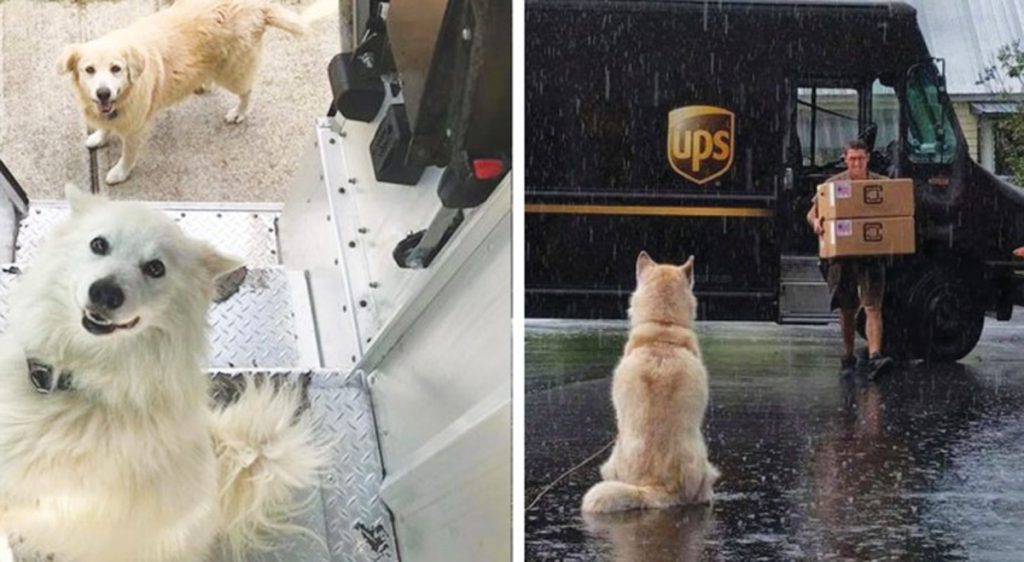 Los repartidores de UPS tienen un grupo de facebook sobre los perros que se encuentran en su ruta 1