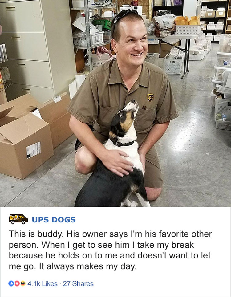 Los conductores de UPS tienen un grupo en Facebook que publica las fotos de los perros con los que se encuentran durante el envío