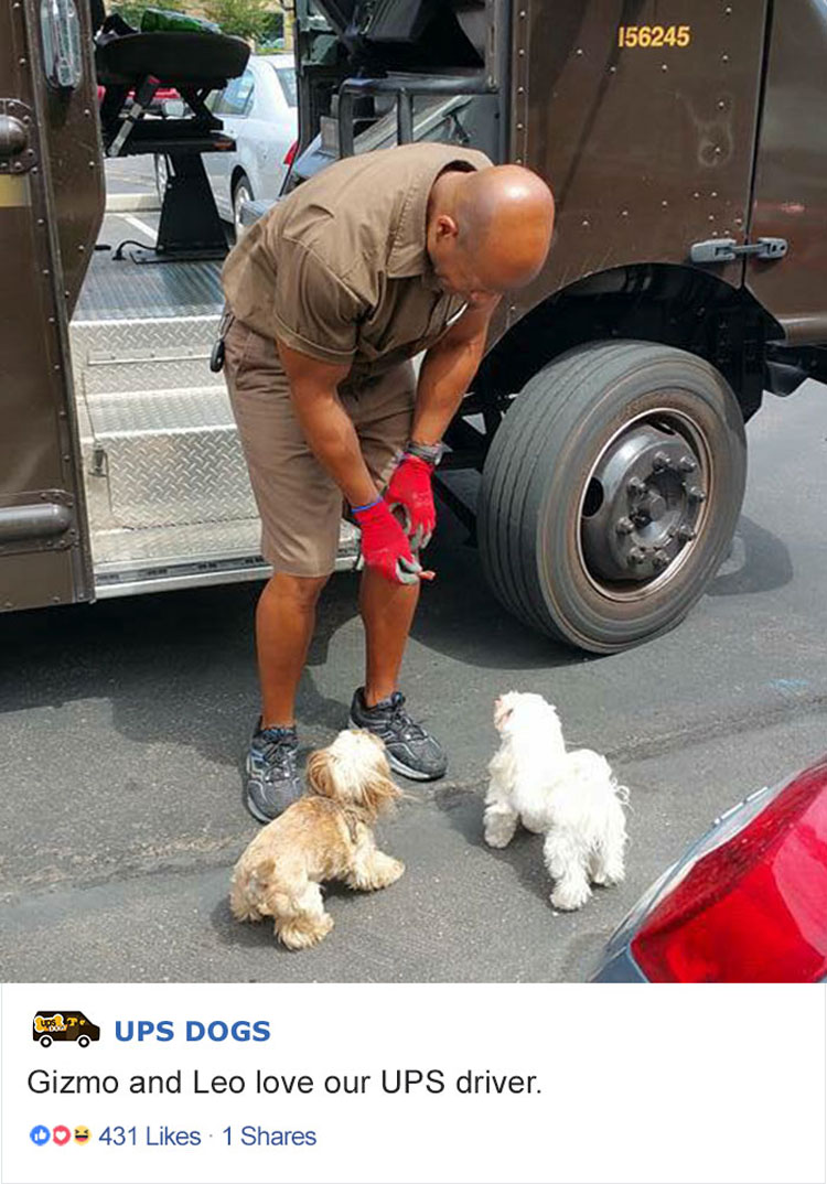 Los conductores de UPS tienen un grupo en Facebook que publica las fotos de los perros con los que se encuentran durante el envío