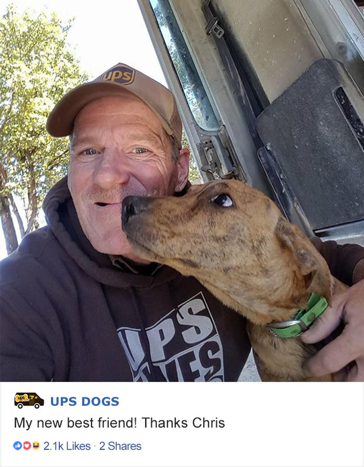 Los conductores de UPS tienen un grupo en Facebook que publica las fotos de los perros con los que se encuentran durante el envío