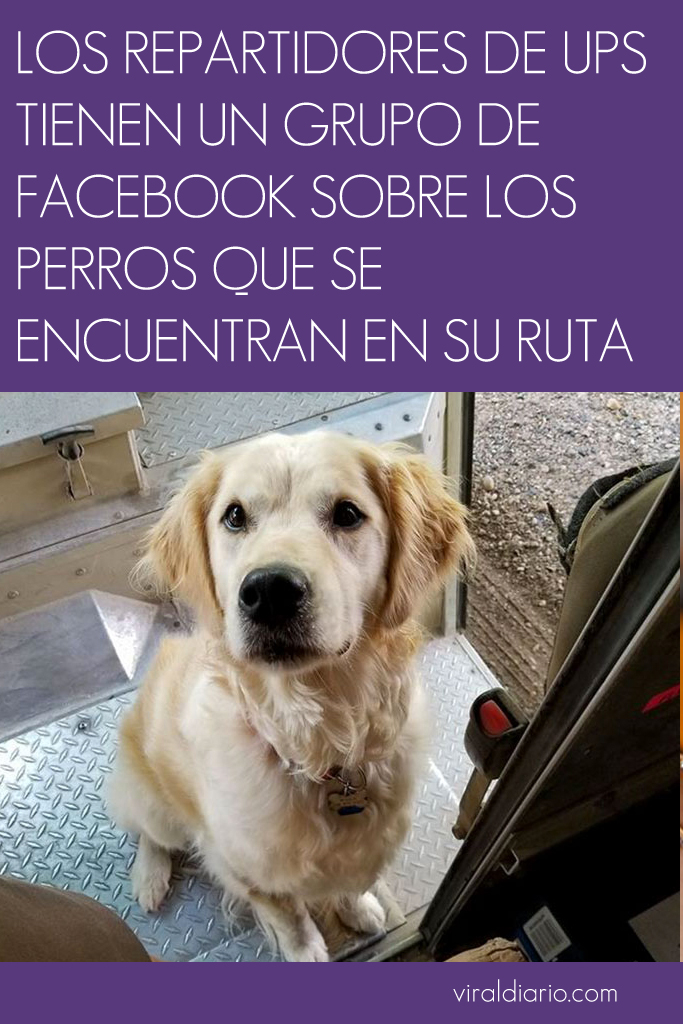 Los repartidores de UPS tienen un grupo de facebook sobre los perros que se encuentran en su ruta