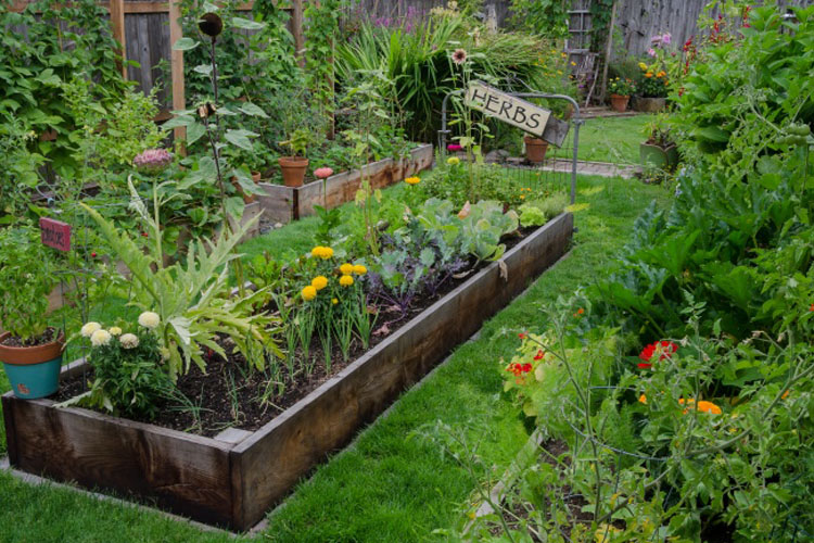 13 ideas originales que todo jardinero sueña con realizar