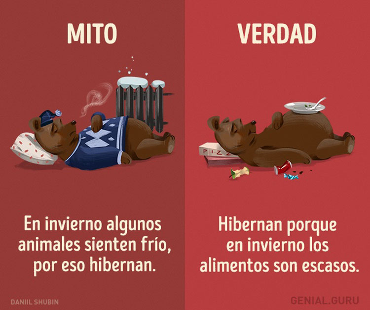 13 mitos sobre los animales en los que todavía creemos