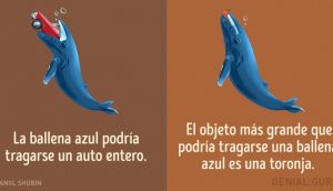 13 mitos sobre los animales en los que todavía creemos