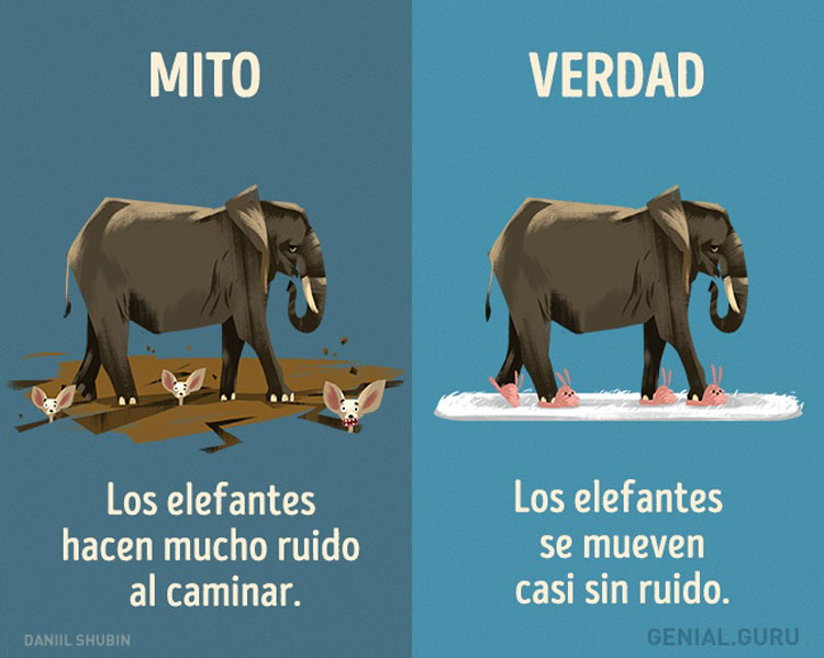 13 mitos sobre los animales en los que todavía creemos