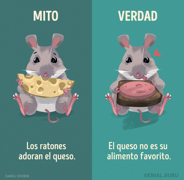 13 mitos sobre los animales en los que todavía creemos